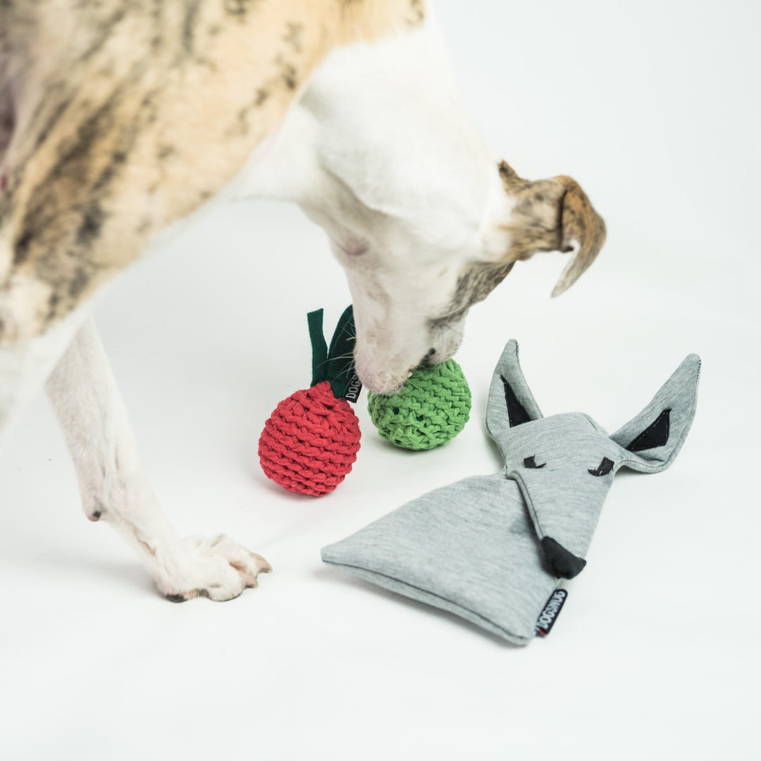 Dog Toys