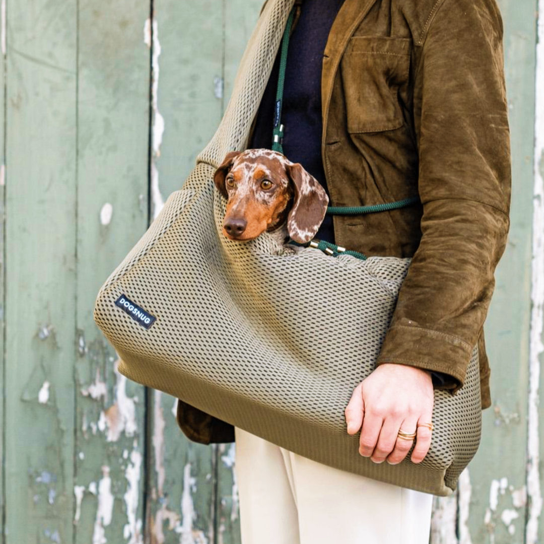 Best dog sling for dachshund best sale