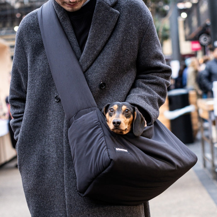 Long Size of Air Dog Carrier in Black with a Sturdy Base worn by Dachshund