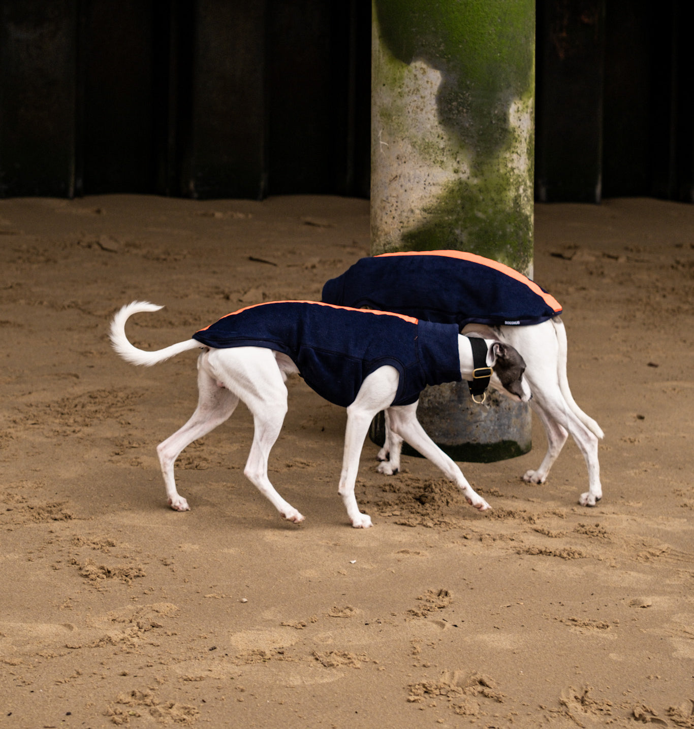 Dogsnug Night & Rain Whippet Jumper