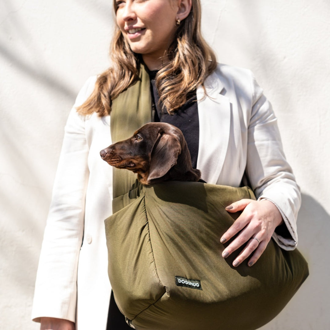 Doughie looking handsome in the Air Olive Dachshund Carrier.