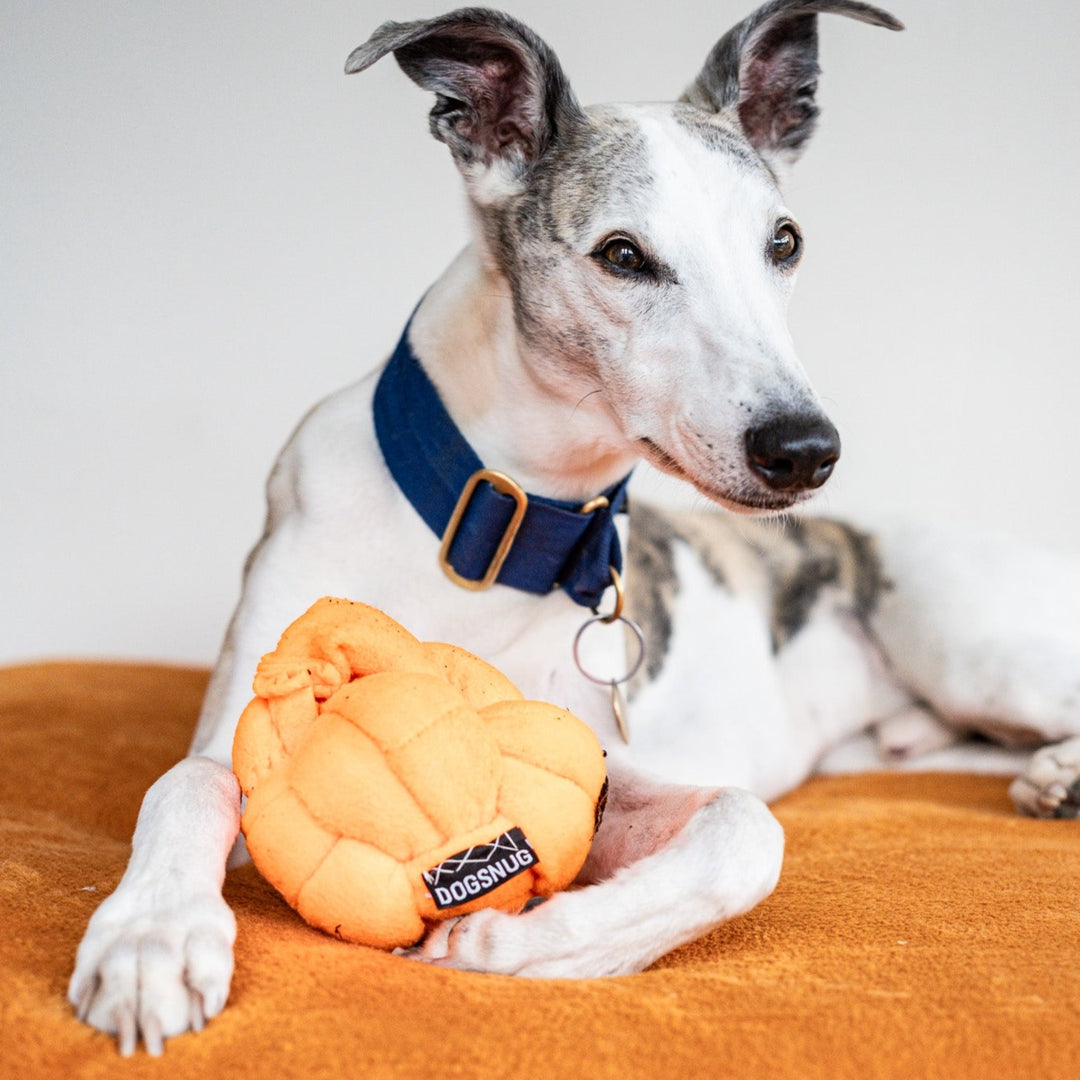 Kai with a Forage-A-Knot toy