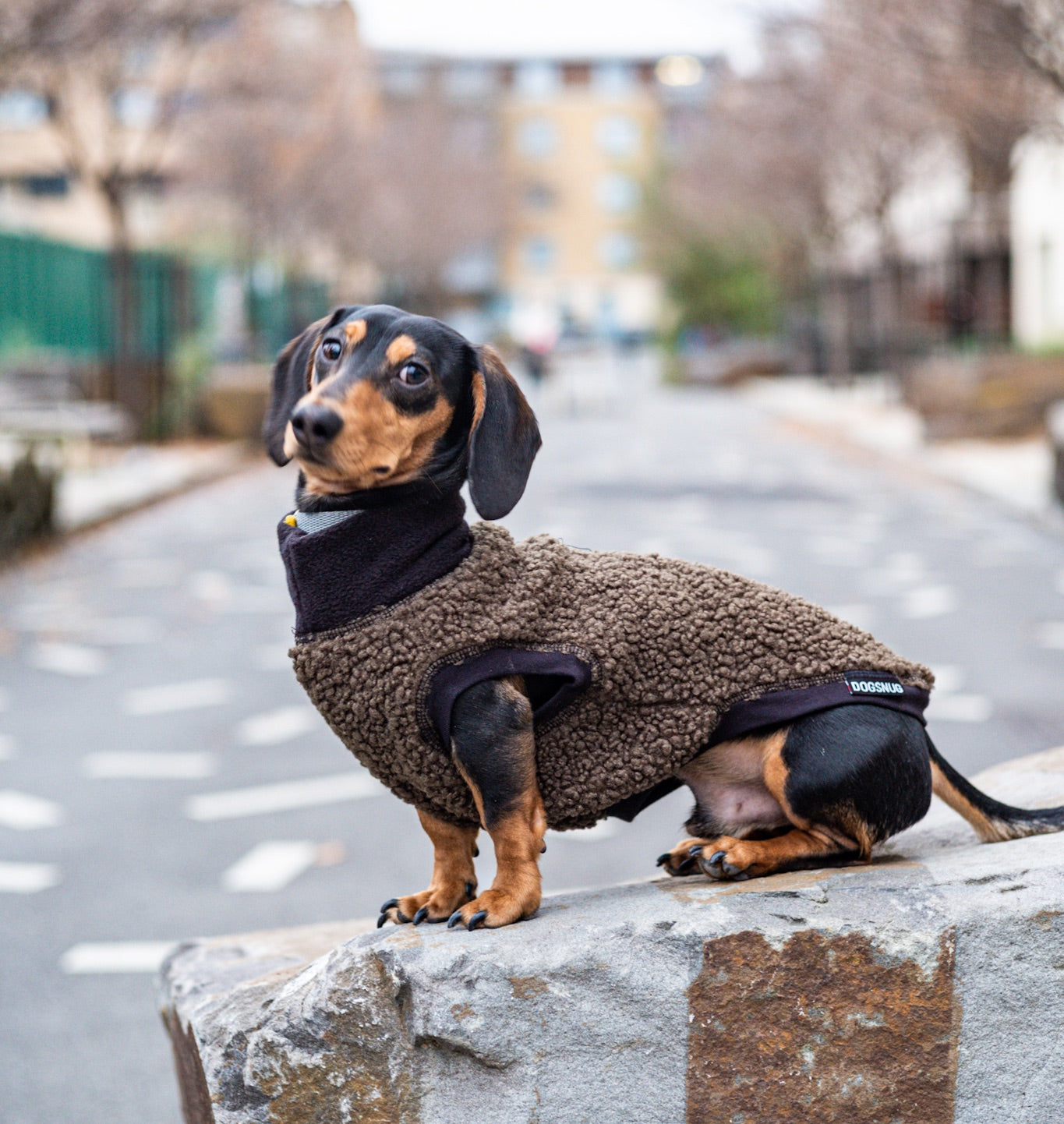 Dachshund Boucle Dogsnug Jumper