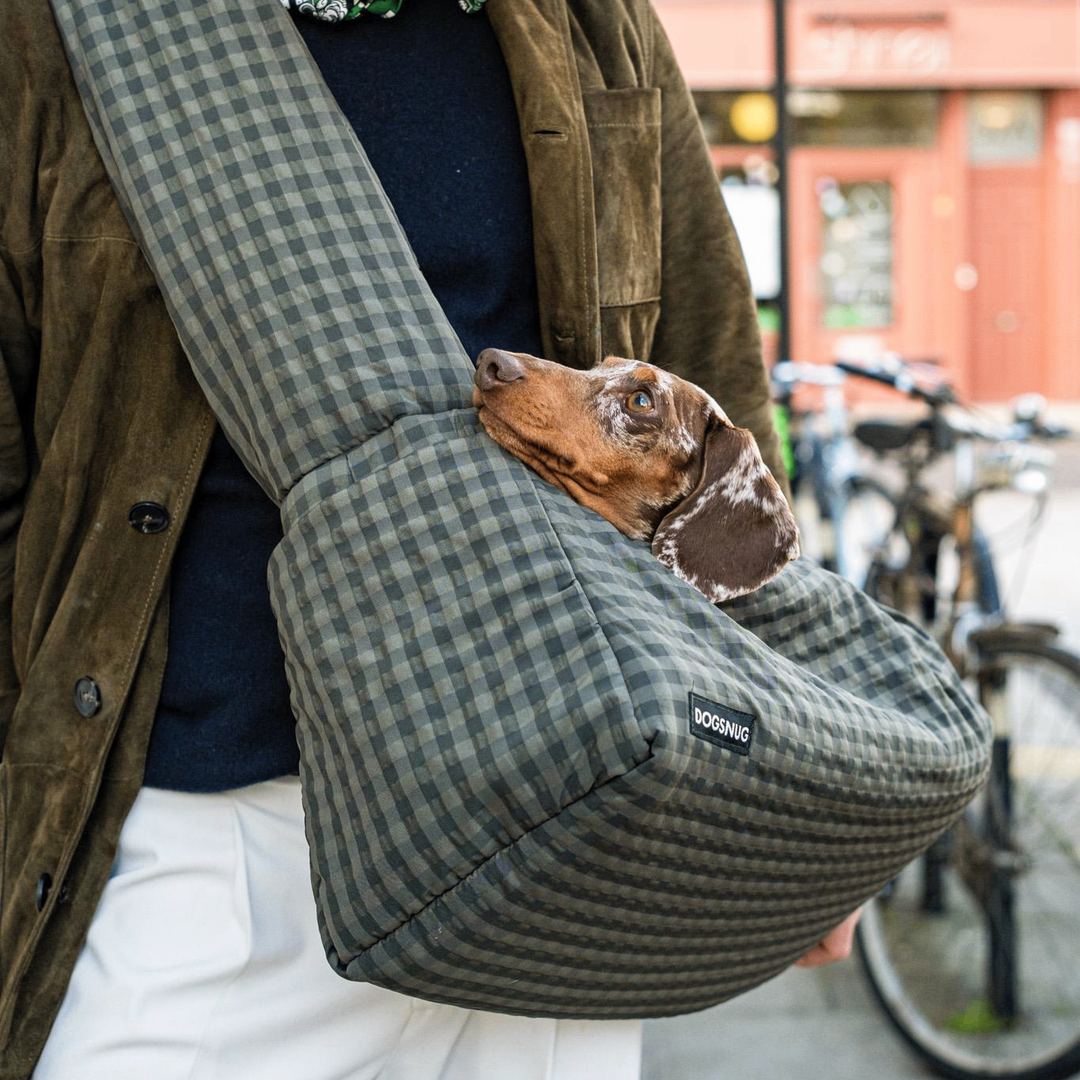 Air Puppy & Dachshund Dog Carrier