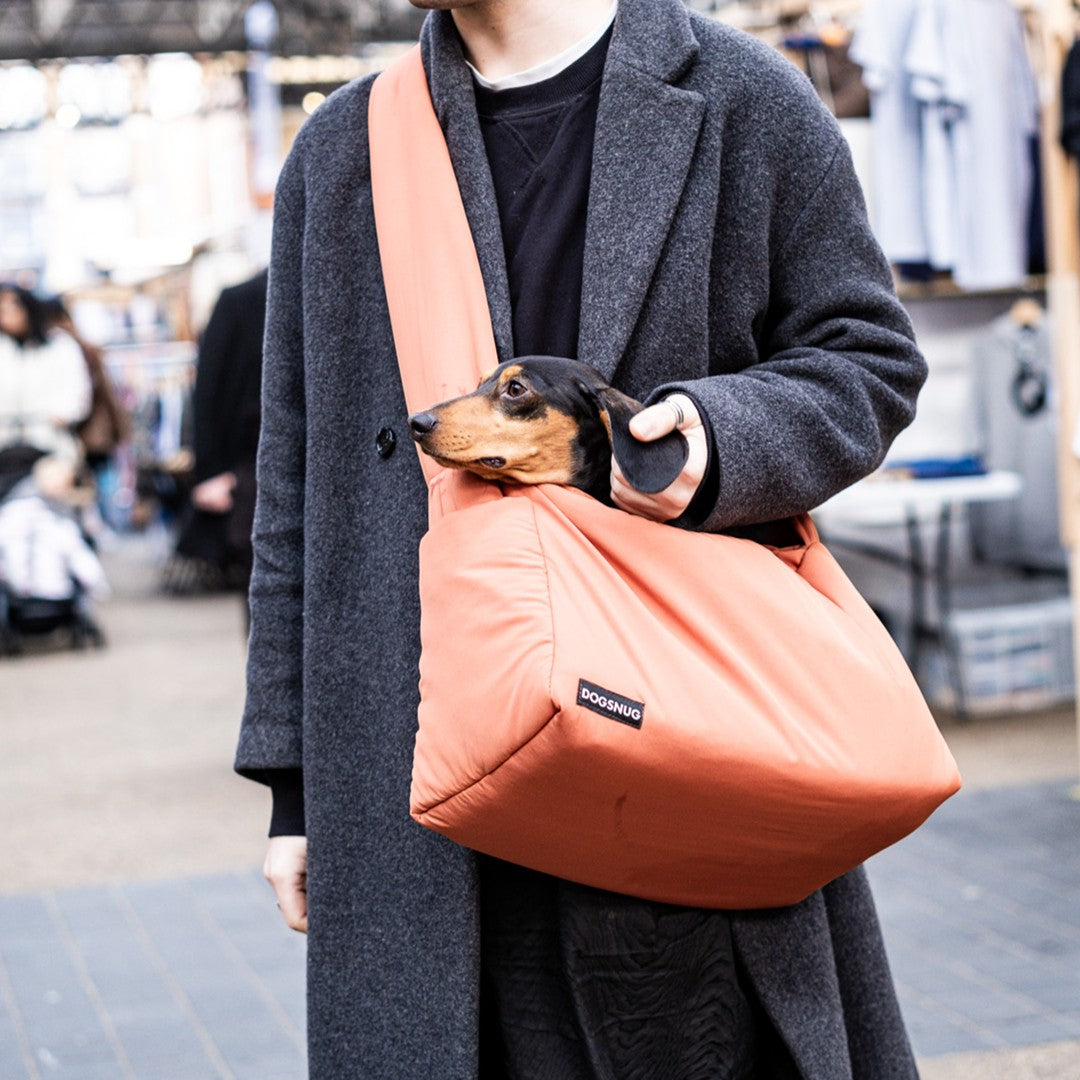 Long Size of Air Dog Carrier with a Sturdy Base worn by Dachshund