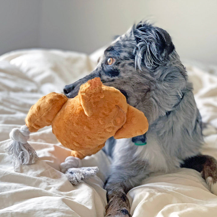 Steel Dog Roast Turkey Toy With A Tennis Ball Inside