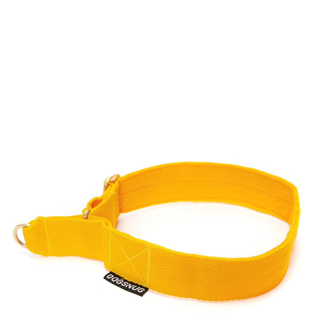 Wide martingale dog collar in yellow