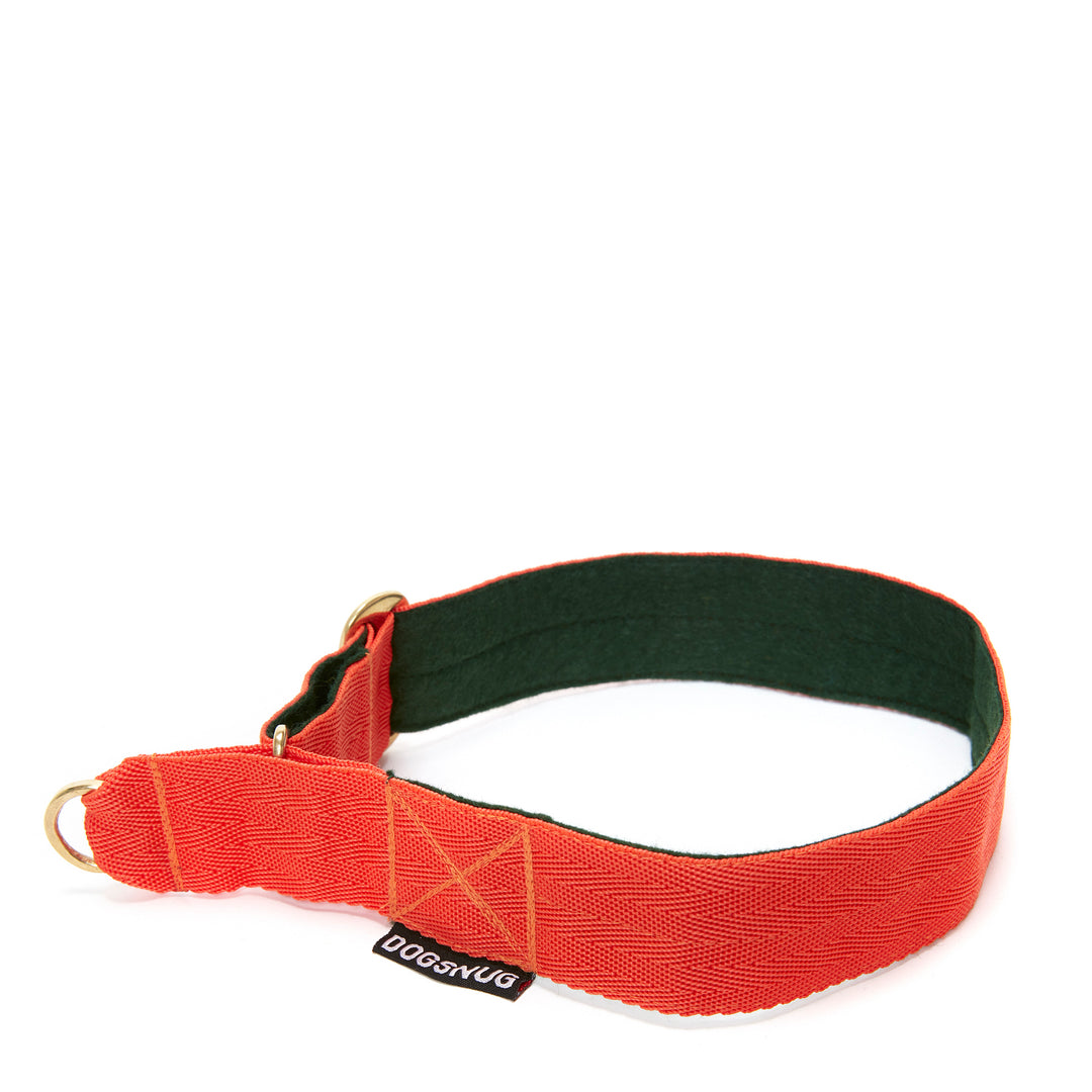 Wide martingale dog collar in orange