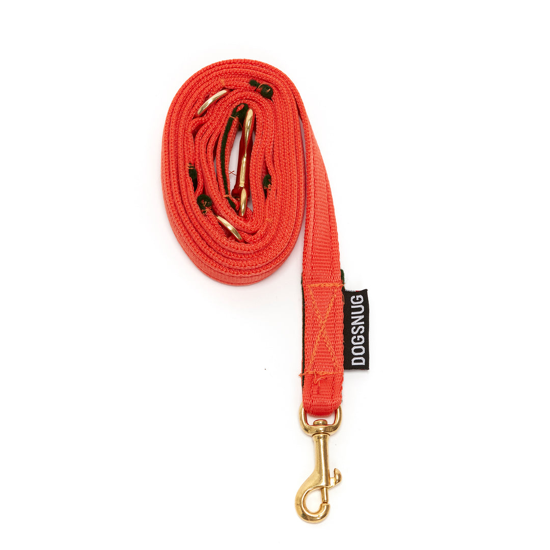 long calendula orange dog lead