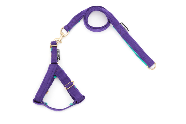 Step In Harness  & Lead Webbing in Purple