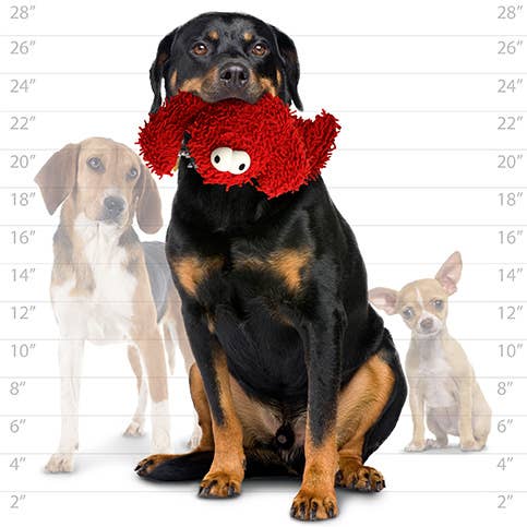 Mighty Microfiber Ball Lobster, Durable, Squeaky Dog Toy