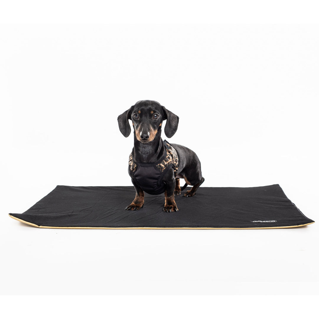 Cooling Dog Mat