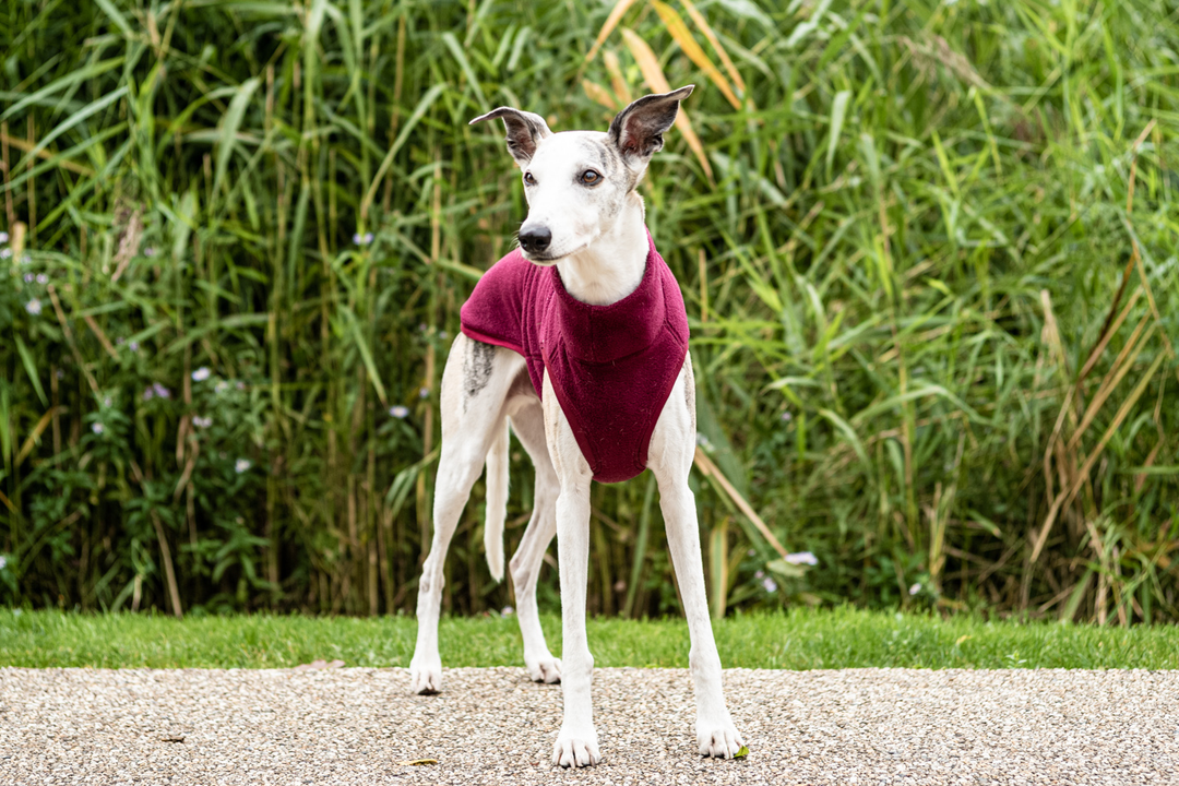 Water Repellent Fleece Jumper Burgundy Sighthound