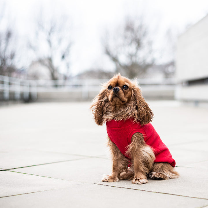 Fleece Dog Jumper Royal Colours