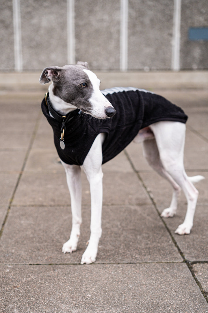 Whippet Night & Rain Fleece Jumper