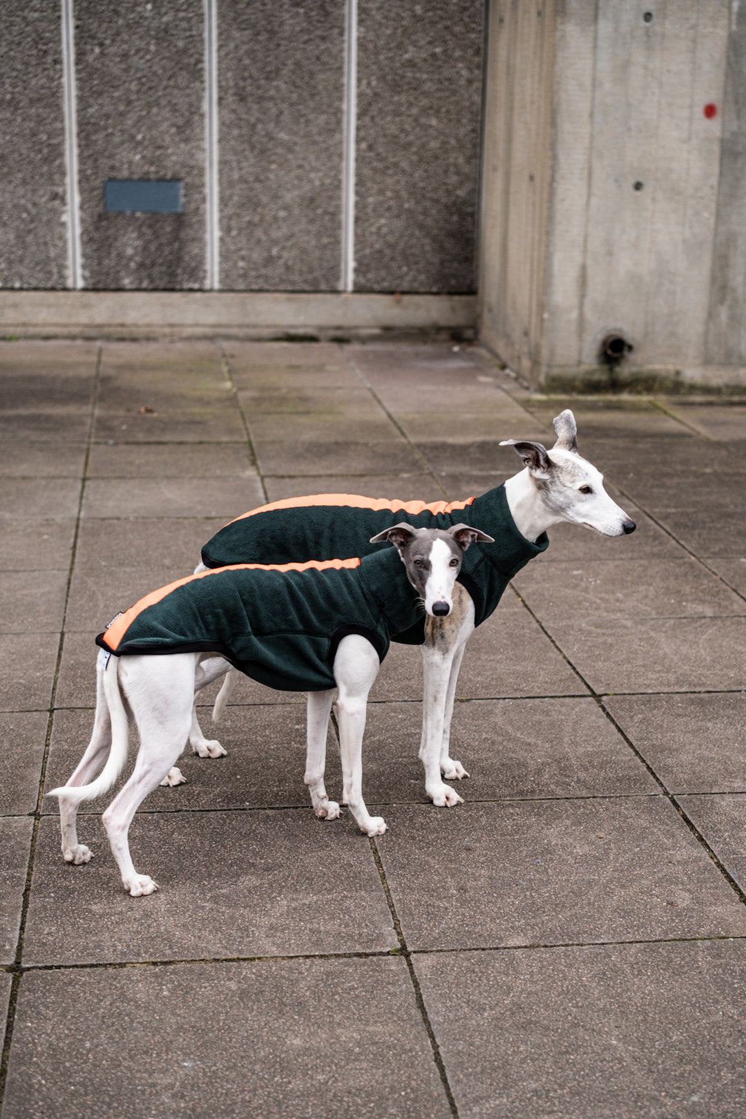 Whippet Night & Rain Fleece Jumper