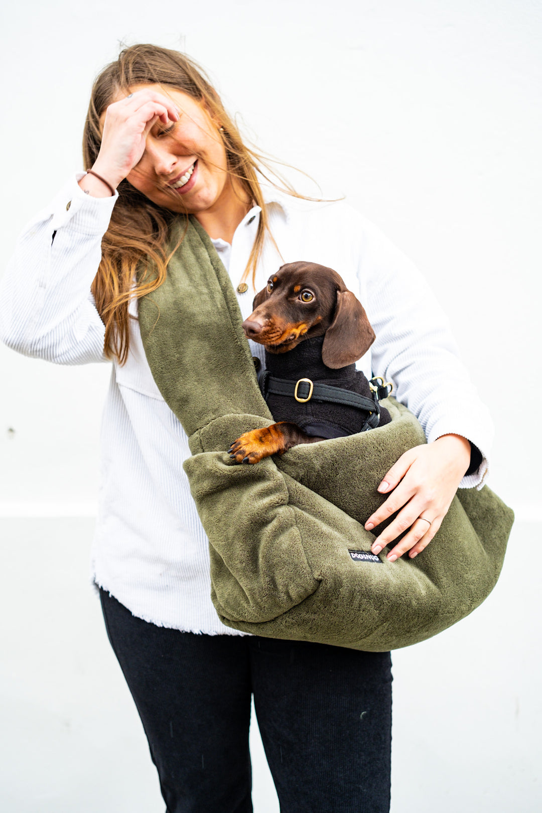 Dachshund in Dachshund Dog Carrier in Olive