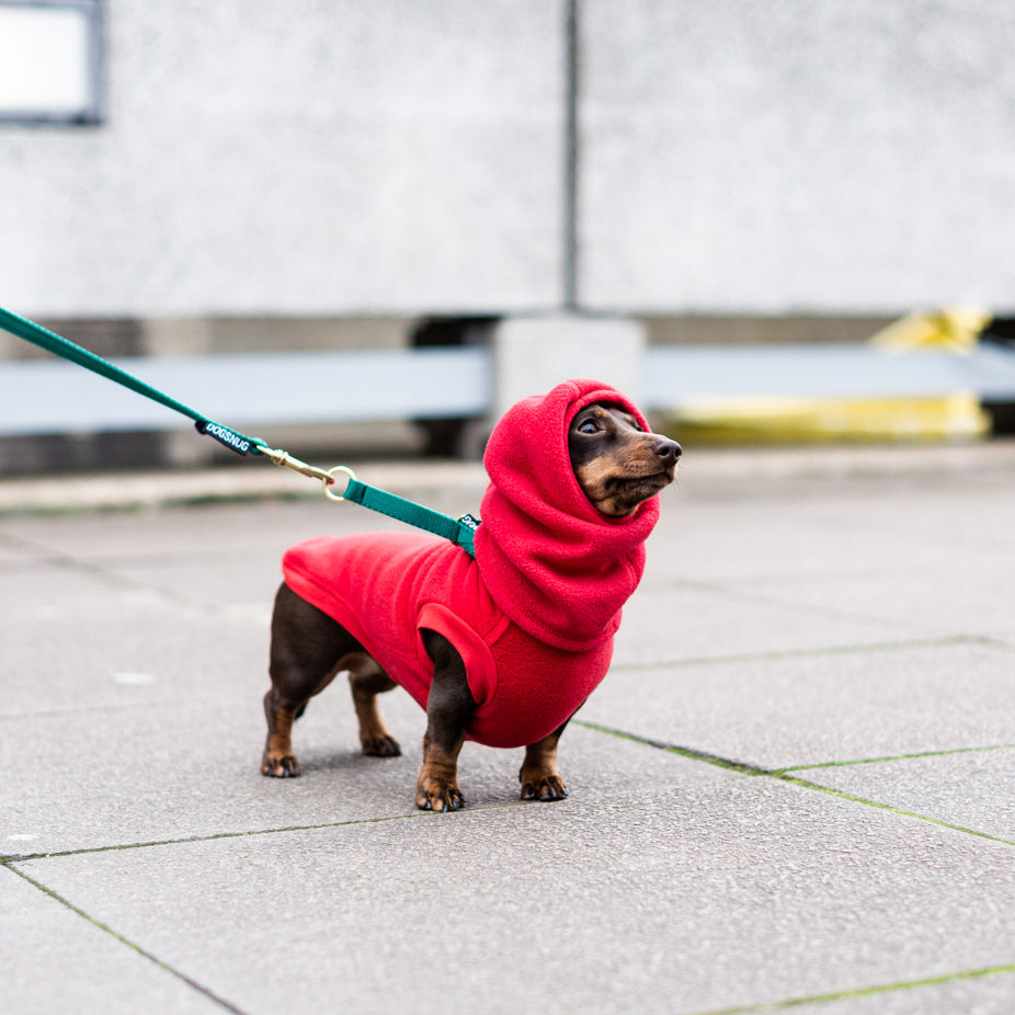 Fleece Dog Jumper Royal Colours