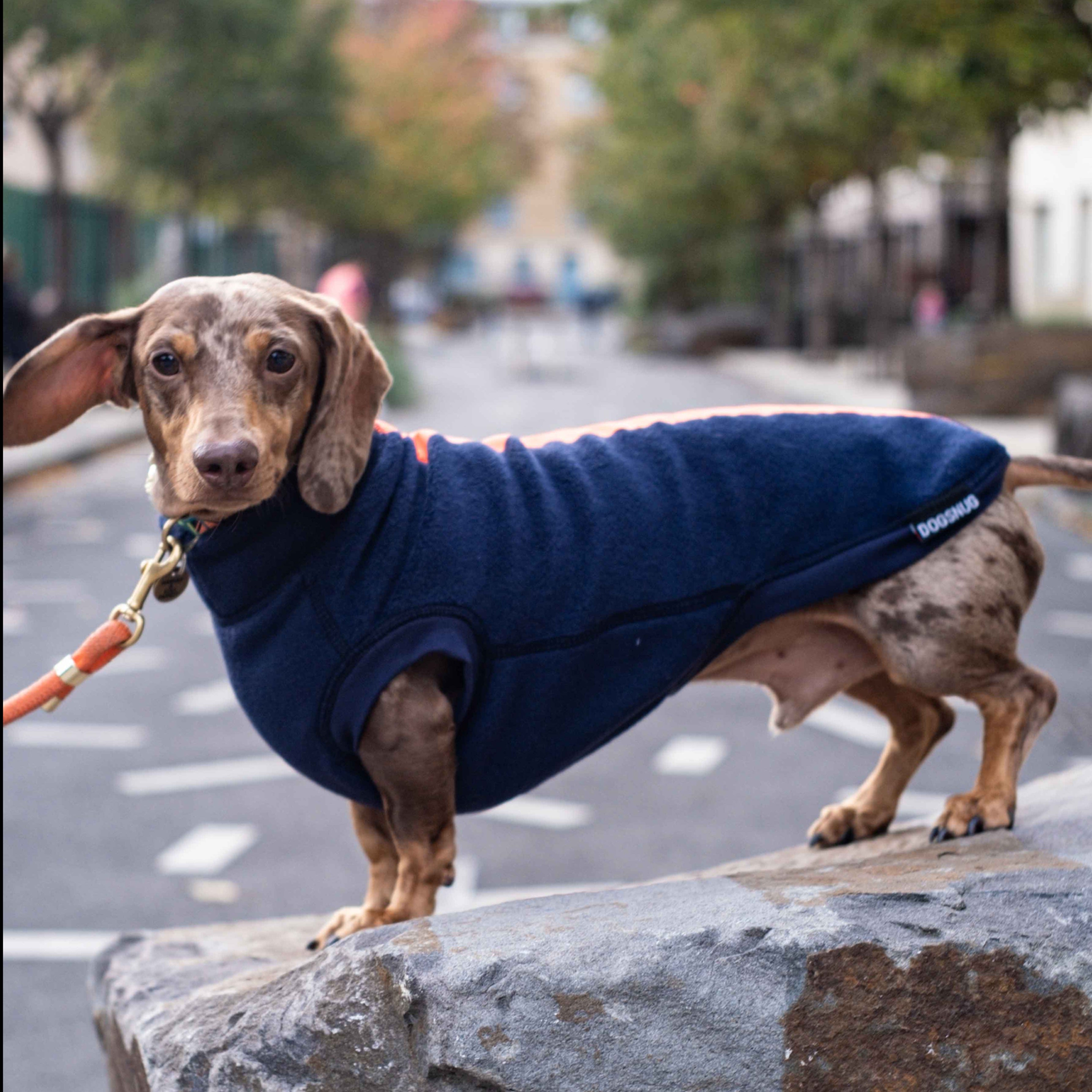 Dachshund fleece jumper hotsell