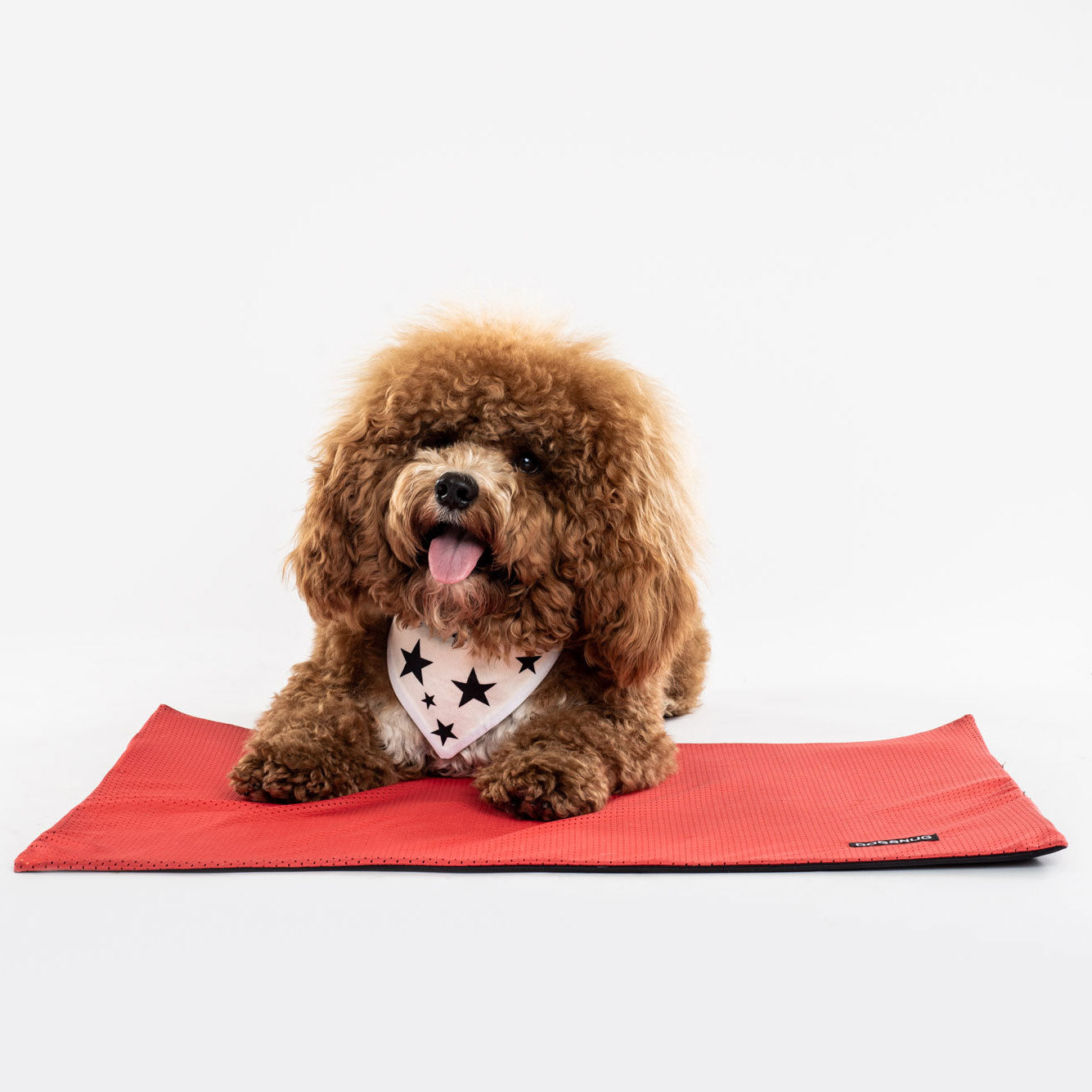 Aldi cooling dog mat best sale