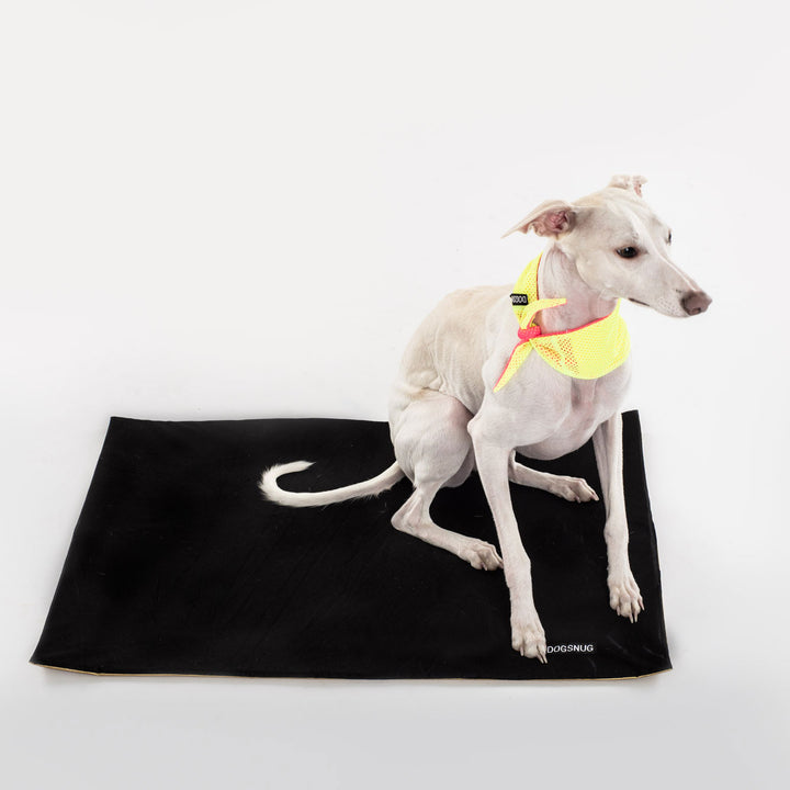 Cooling Dog Mat