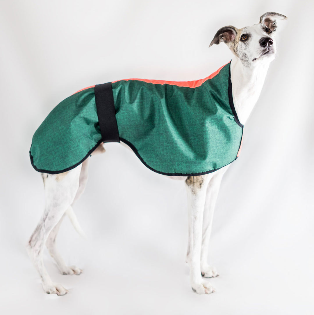 Waterproof Dog Coat Plain