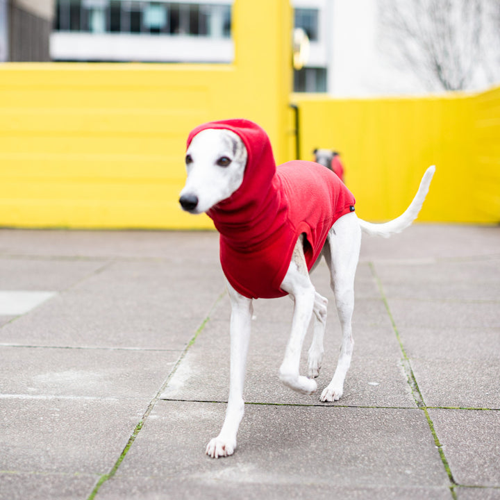 Fleece Dog Jumper Royal Colours