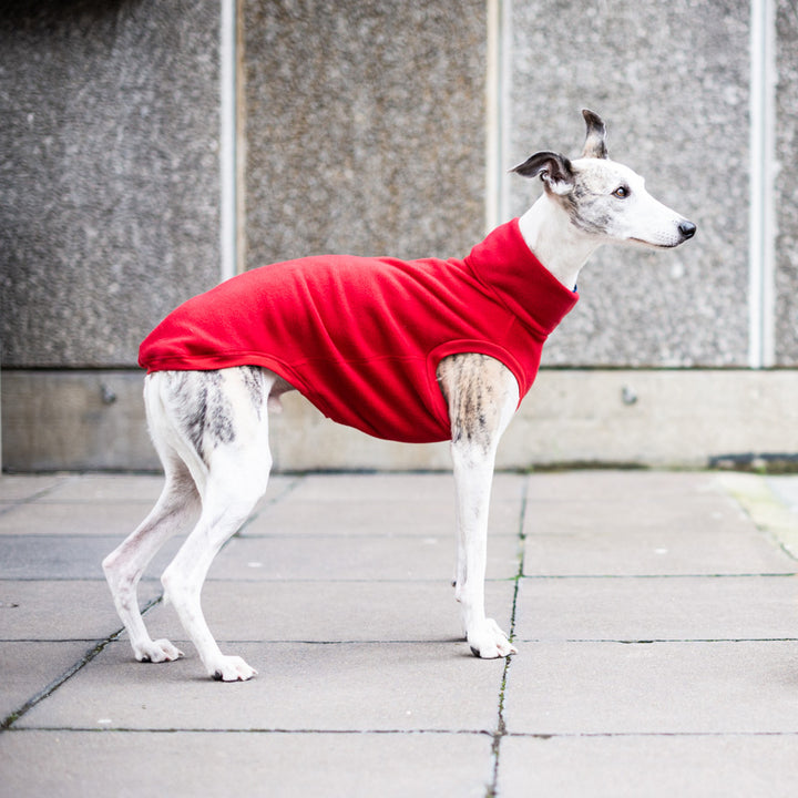 Fleece Dog Jumper Royal Colours