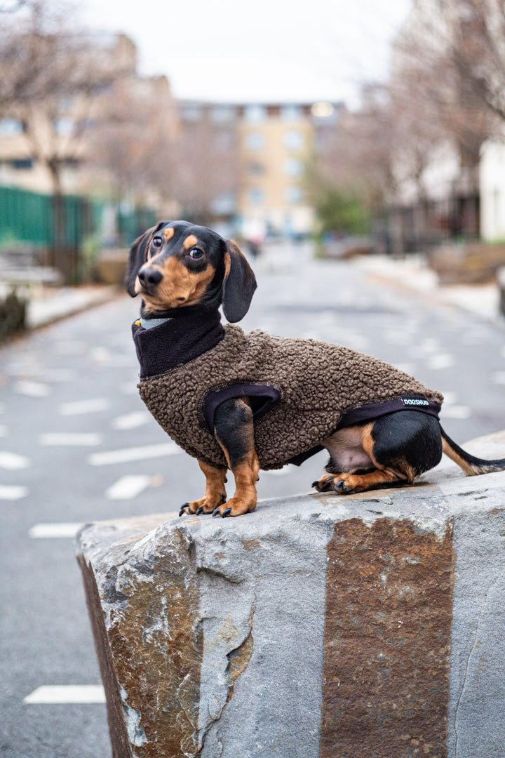 Boucle Dachshund Dog Jumper