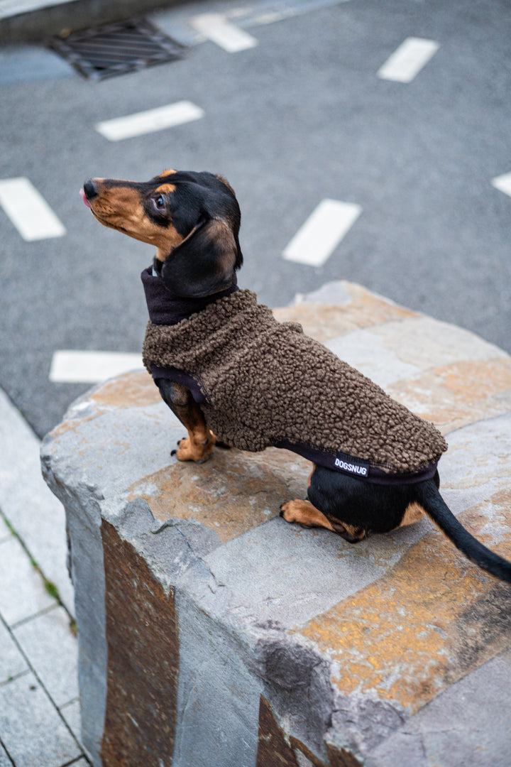 Boucle Dachshund Dog Jumper