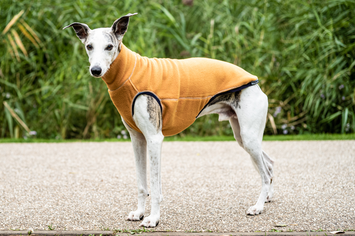 Water Repellent Fleece Jumper Mustard Sighthound