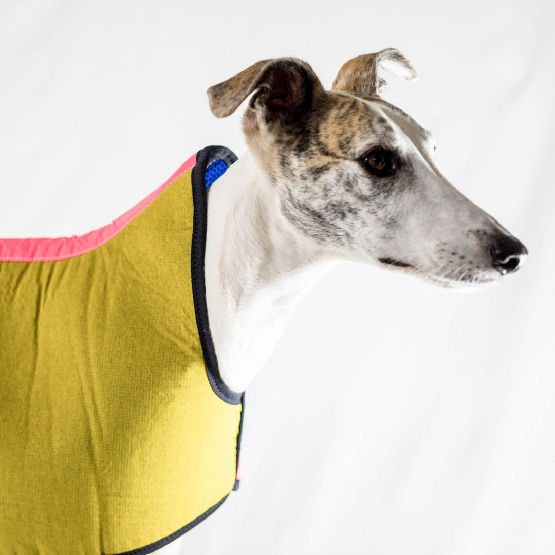 Waterproof Dog Coat Plain