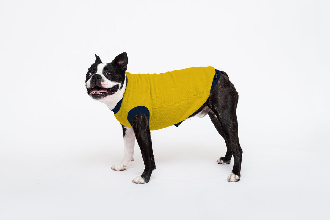 Water Repellent Fleece Jumper Mustard Broad