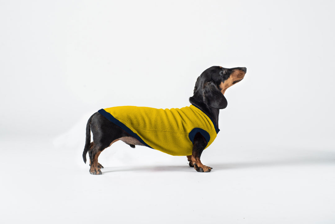 Water Repellent Fleece Jumper Mustard Dachshund