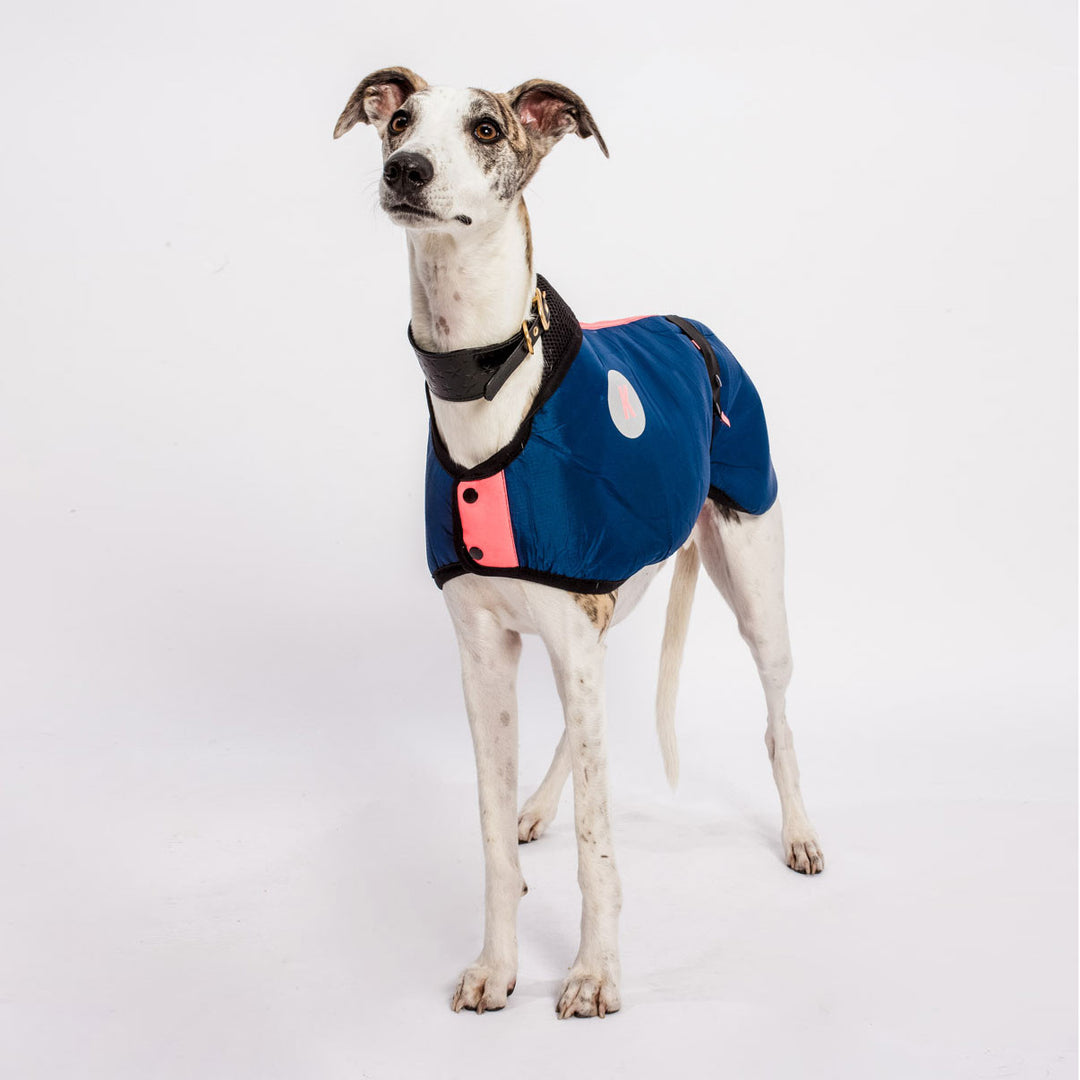 Waterproof Dog Coat Plain