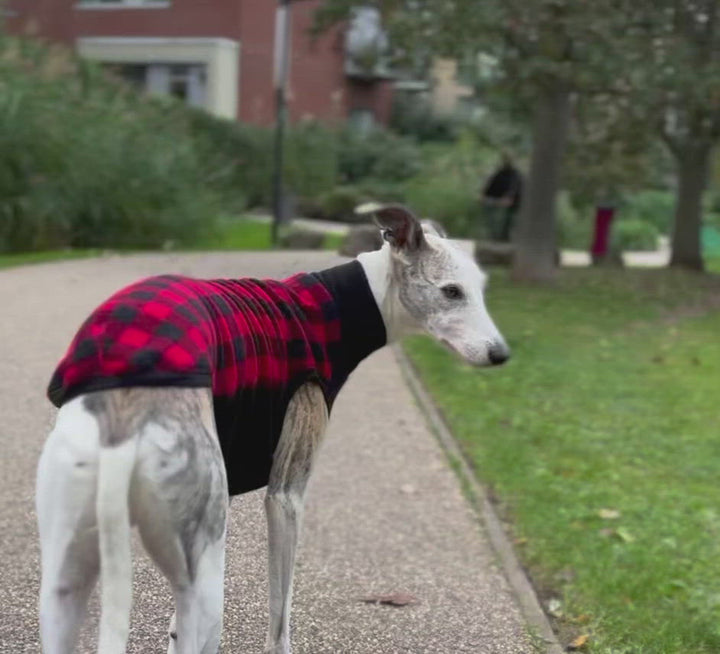 Fleece Dog Jumper Special Edition